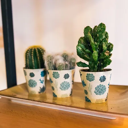 Transylvania - Center Appartement *