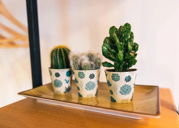 Transylvania - Center Appartement *